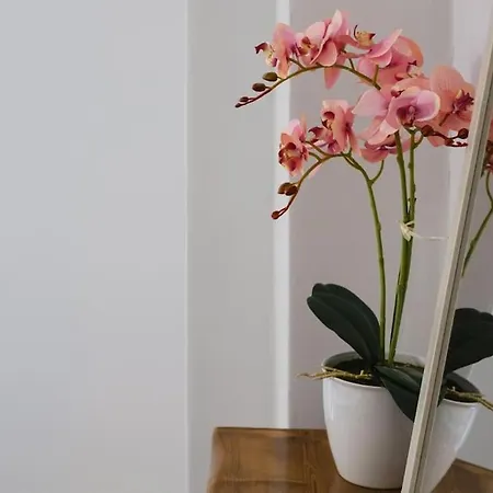 Kalderimi Traditional House * Stavropigio